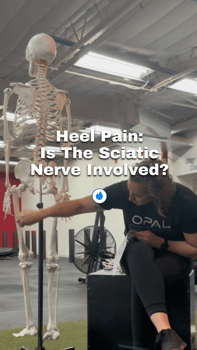 heel pain: is the sciatic nerve involved?