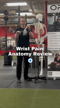 wrist anatomy 